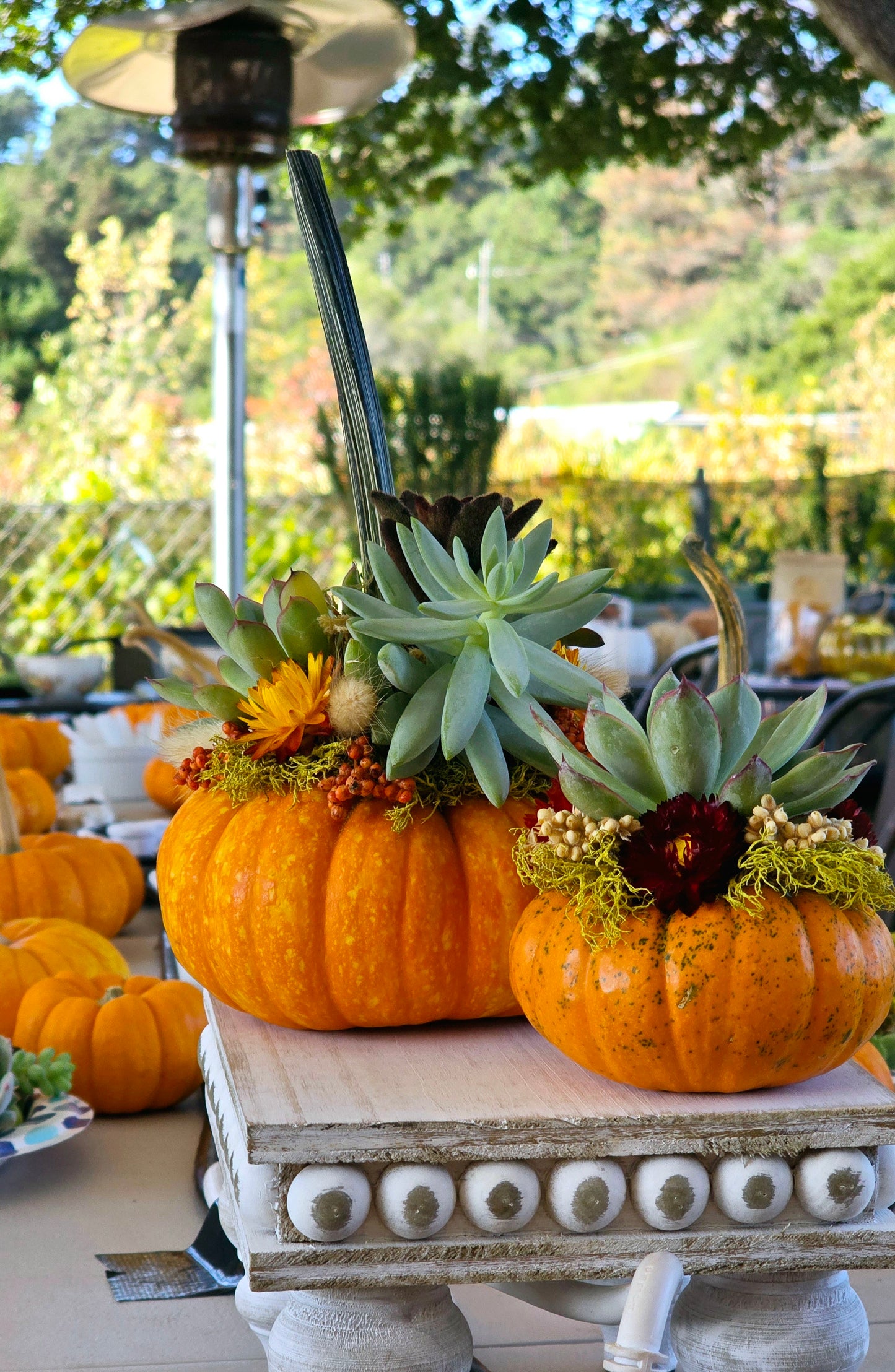 Succulent Pumpkin Event Tickets