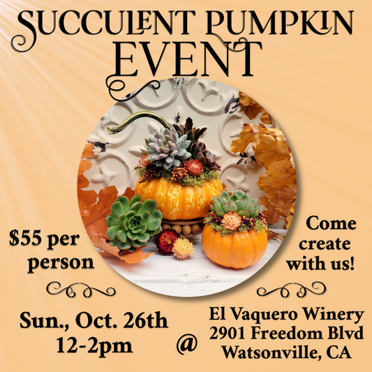 Succulent Pumpkin Event Tickets